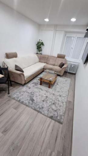 Apartment in greater downtown area